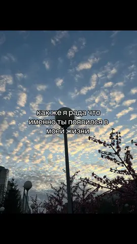 любовь спасет нас всех… #любовь #рекомендации #щп #fyp #любимый 