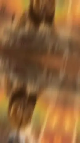 ‏#دويتو مع @ســ͢ـارة┊𓆩Sara𓆪 #هبو_ياسباعة🦁 