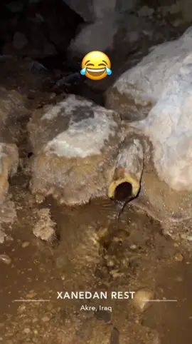 #😂😂😂😂😂😂😂😂😂😂😂😂😂😂😂😂😂😂😂😂😂😂 #دهوك_زاخو_سليماني_ئاكري_ئامیدی_هولیر🦁 