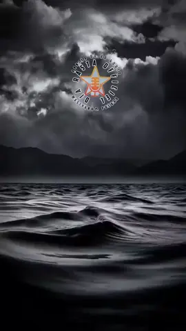 #creatorsearchinsights 