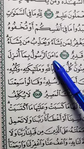 Surah Al-Baqarah 📖  #quran #fyp #fypシ゚viral #foryoupage #unfrezzmyaccount 