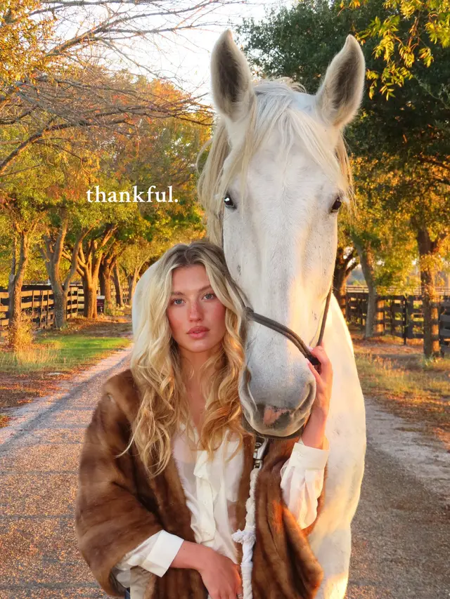 #horses #western #thankful #horseinspo #thanksgiving 