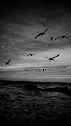 في الحياة ستكتشف أن كل شيء مؤقت... #خواطر #اقتباسات #عبارات #حكم #اقوال 