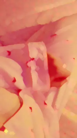 #زوجي_نور_عيني 