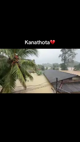 Flood at Kanathota 💔 #flood #srilanka #floodsrilanka 