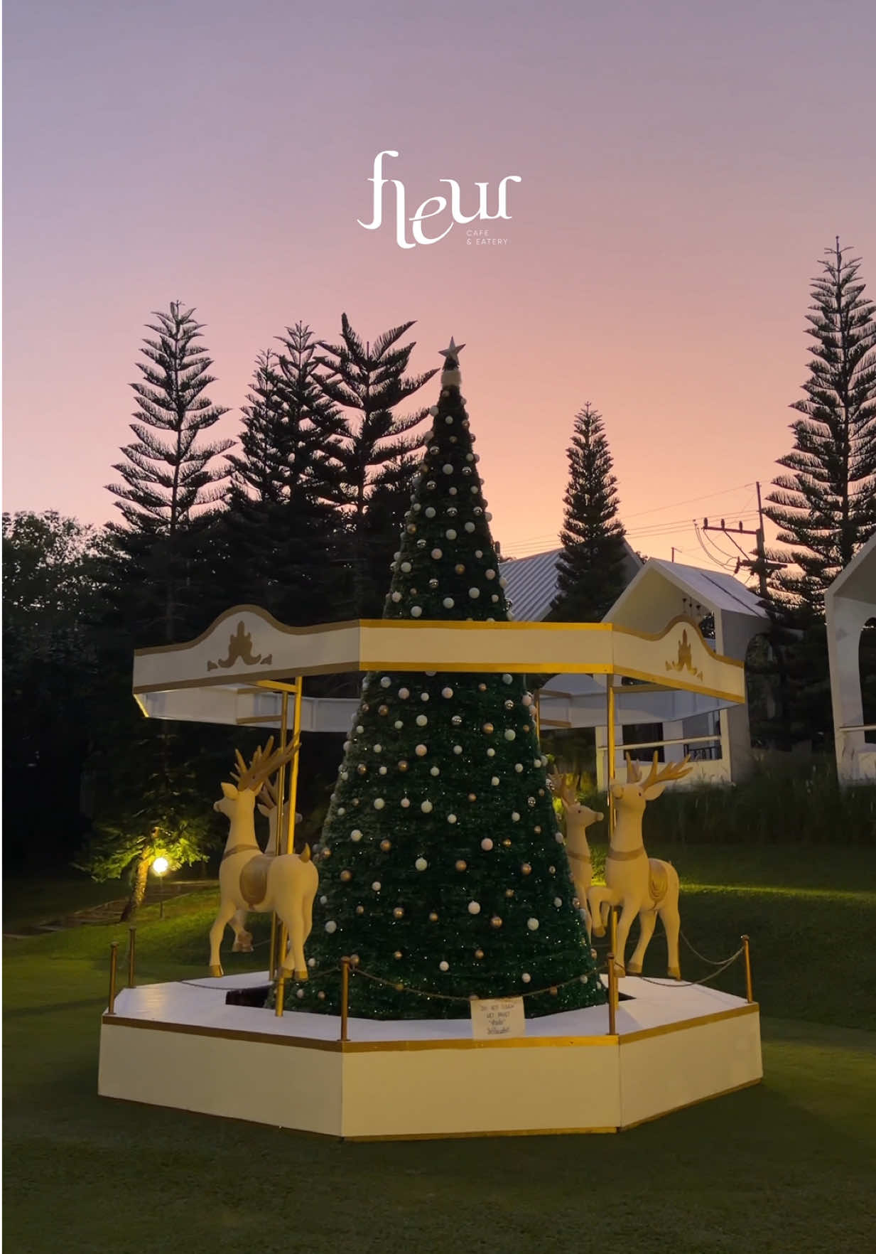 ต้นคริสต์มาสปีนี้ใกล้เสร็จสมบูรณ์แล้วค่า Christmas is coming 🎄🎅🏻❄️✨⛄️ลูกค้าพร้อมถ่ายรูปแล้วรึยังเอ่ยยย 📍พิกัด : ร้านเฟลอร์คาเฟ่ แอนด์อีทเทอรี่ แม่ริม (Fleur Cafe and Eatery) 🚗 เวลาเปิด : เปิดทุกวัน 9โมงเช้า ถึง6โมงเย็น 🌲 Last Order/ครัวปิด : 5โมงเย็น #fleurcafeandeatery #คาเฟ่เชียงใหม่ #christmasdecor #แม่ริมเชียงใหม่ #คริสต์มาส2025 