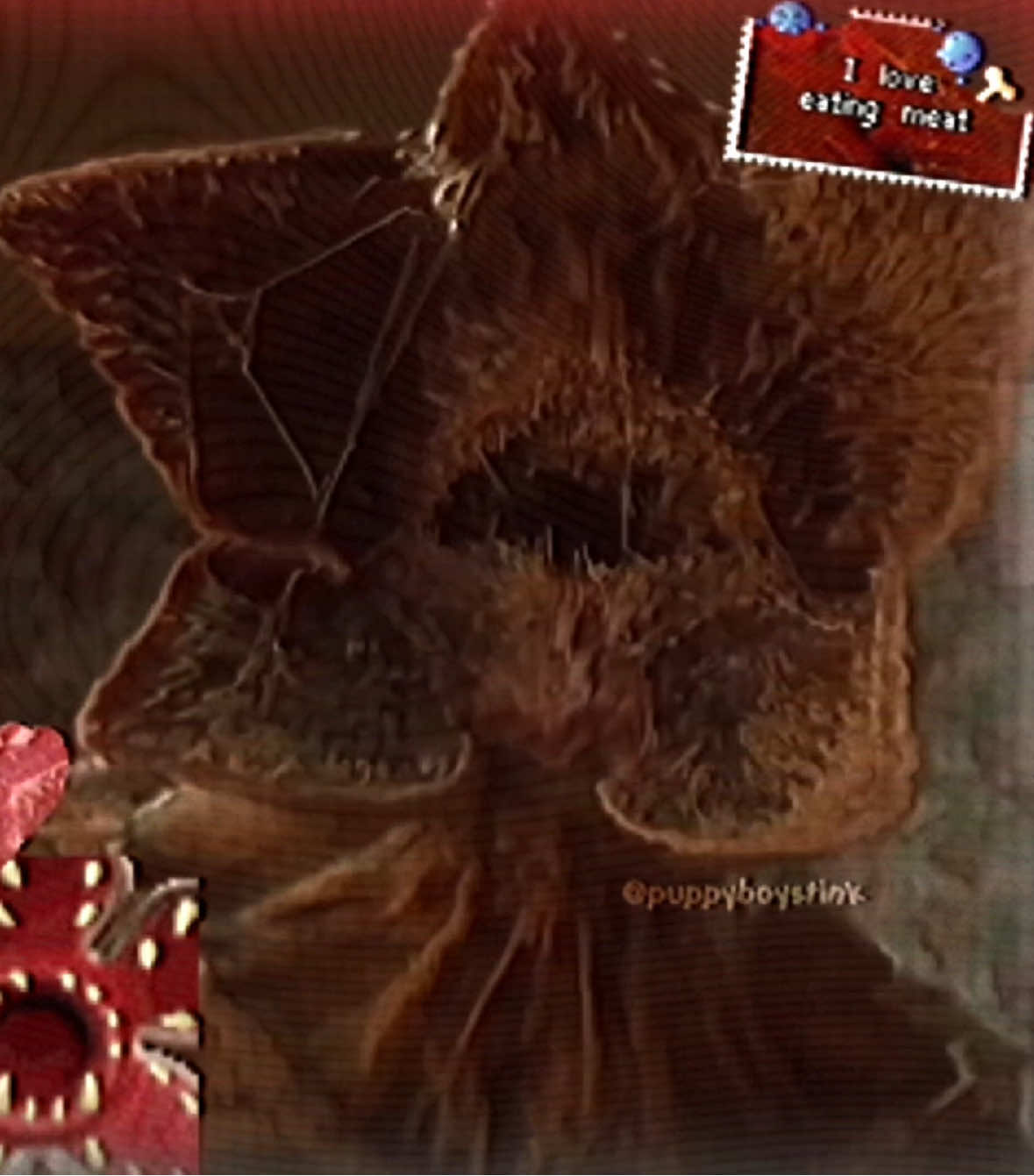 seen this demo more in vol1 more than i see my parents every day GOD BLESS #strangerthings #strangerthings5 #strangerthingsedit #demogorgon #strangerthingsseason5 