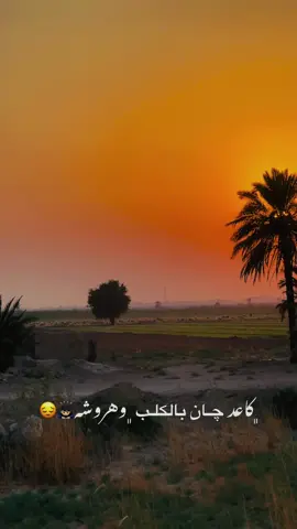 كاعد چان بالكلب وهروشه …………………!i 🙇🏻‍♂️😔 #مُ  #واسط_كوت  #تصويري📸اكسبلوور  #تصويري_احترافي_الاجواء👌🏻🕊😴 