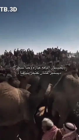 #اكسبلور #Love #fyp #ديسمبر 