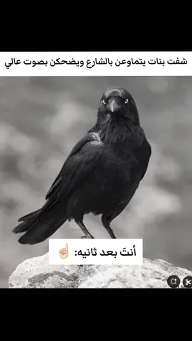 عميقه #CapCut #p  #paratiiiiiiiiiiiiiiiiiiiiiiiiiiiiiii  #tiktok  #pov   