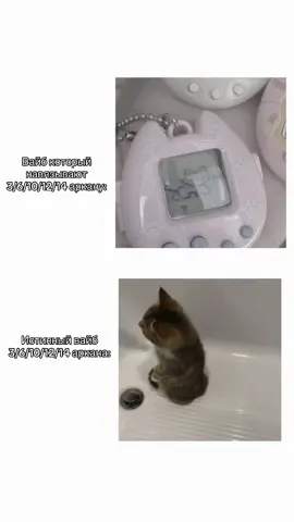 ССЫЛКА НА ТГК В ПРОФИЛЕ #таро #матрицасудьбы #чакра #матрицасовместимости #совместимость