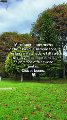 Ig: Paugomxz #fyp #viral #marrychristmas #navidad #hijas 