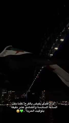 🥹💚. #سوريا #تحرير_سوريا #سوريا_من_دون_بشار_الأسد #حلب_الشهباء 