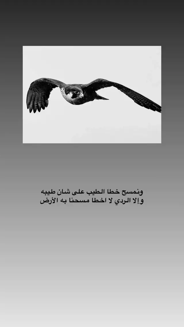 #capcut #الرياض #explore_اكسبلور #الكويت #fyppppppppppppppppppppppp 