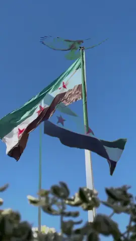 #CapCut #سوريا #درعا_حوران_سوريا #سوريتي #علمنا 