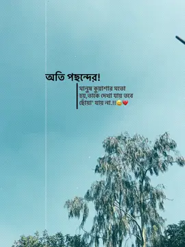 অতি পছন্দের মানুষ কুয়াশার মতো হয় তাকে দেখা যায় তবে ছোঁয়া যায় না.!!😅💔