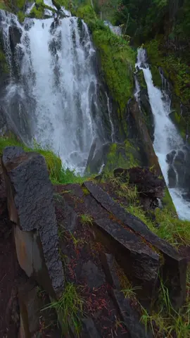 Rising up over the dark, wet rocks brings a clear view of the waterfall as it drops into the forest below. Water pours over the layered cliffside, framed by moss, ferns, and deep green vegetation clinging to the surrounding walls. The combination of rugged stone, rushing water, and lush forest textures creates a striking, powerful scene 😍 #shotoniphone #iphone17pro 
