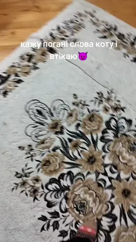 #cat#cute#cool#lol#silver