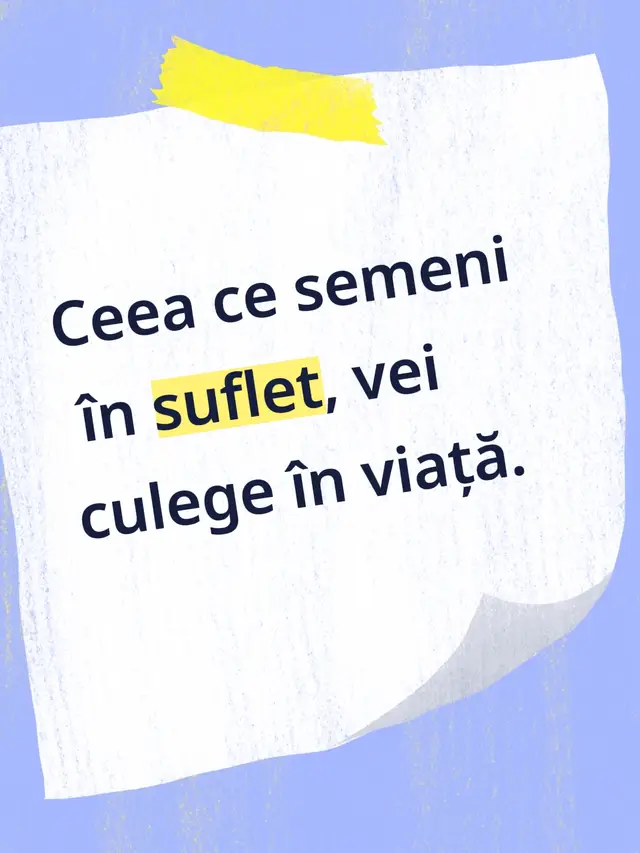 #FYP #ForYou #ViralRomania #TikTokRomania #TrendingRomania