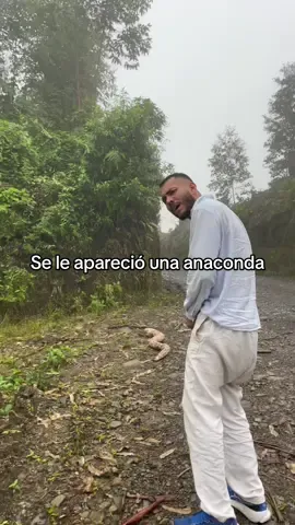 Se me apareció una anaconda mientras regaba las plantas #humor 