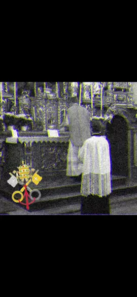 Viva a Santa igreja católica!!#jesus #igrejacatolica #mariamaededeus #fy 