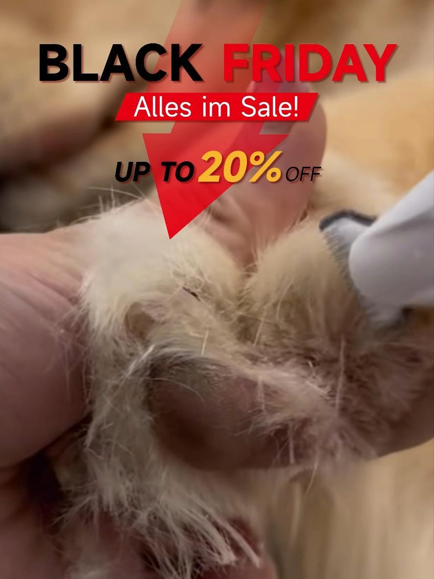 Wenn die süßesten Pfoten den tödlichsten Geruch haben... #hundepfotenabdrück#PetComedy#StinkyPaws#HaustierFail#GroomingHumor
