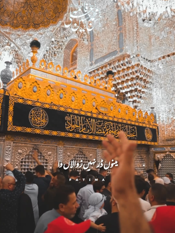 در میں روا زمینوں ڈر نہیں زوالاں دا۔۔  #شاه_نجف##molaali#alihaq  #molamushkilkusha #aliwale 