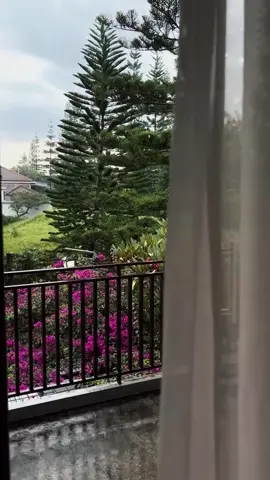 #creatorsearchinsights #fyp #viral #سفر #مطر 