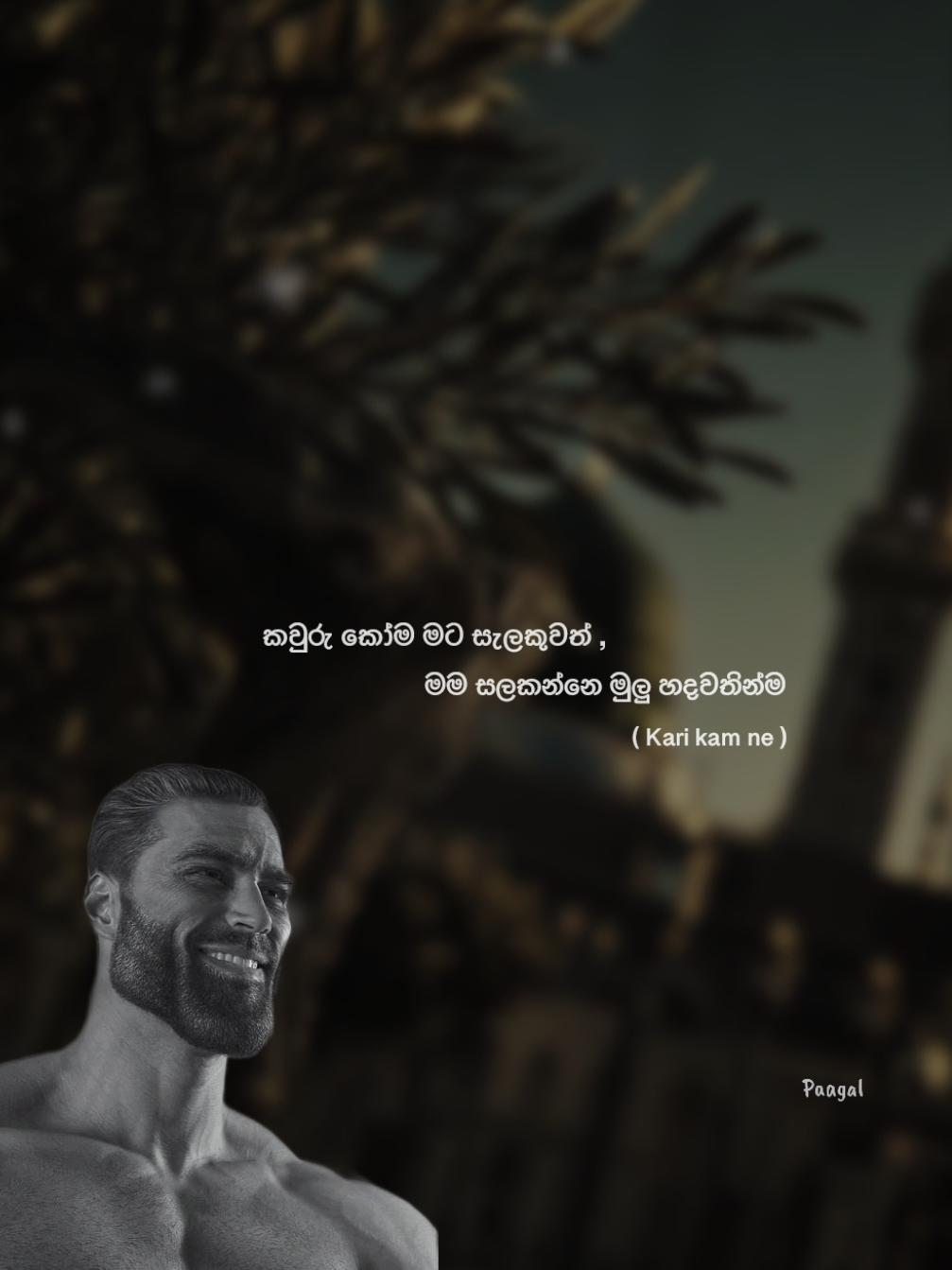 Kari Kam ne 🗿👍 #chad #paagalq #foryou #trending #wadan 