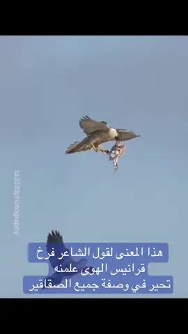 #اخبار_الطرح_مقناص_2025 #الشعب_الصيني_ماله_حل😂😂 