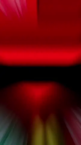 flamengo x palmeiras final da libertadores vamos mengão🏆💯