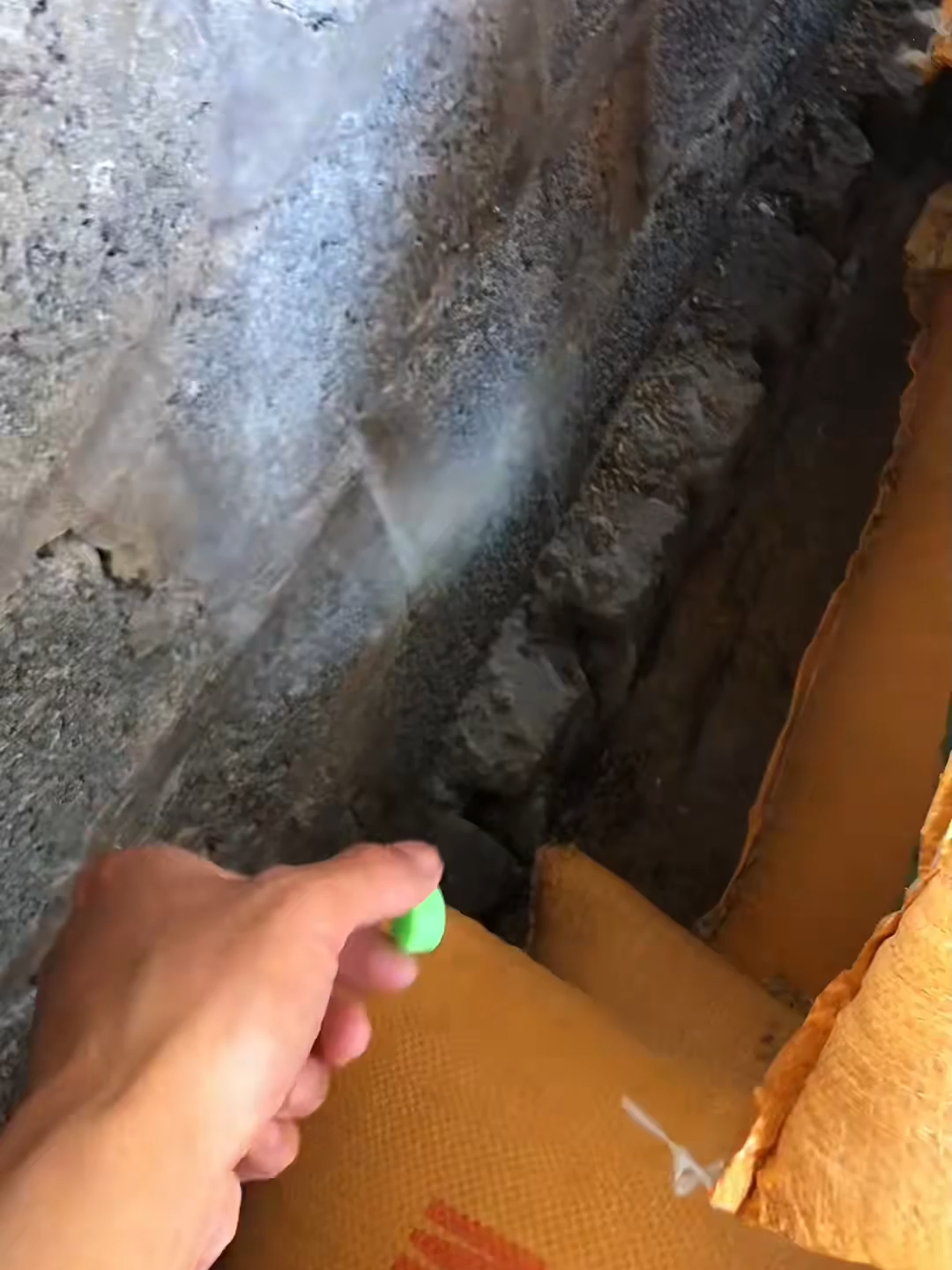 Viên đuổi chuột quá tiện lợi luôn các bác ơi #vienduoichuot #tienloi #xuhuong2025