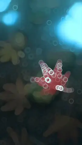 باب دلمی🥀🥀💖🦋