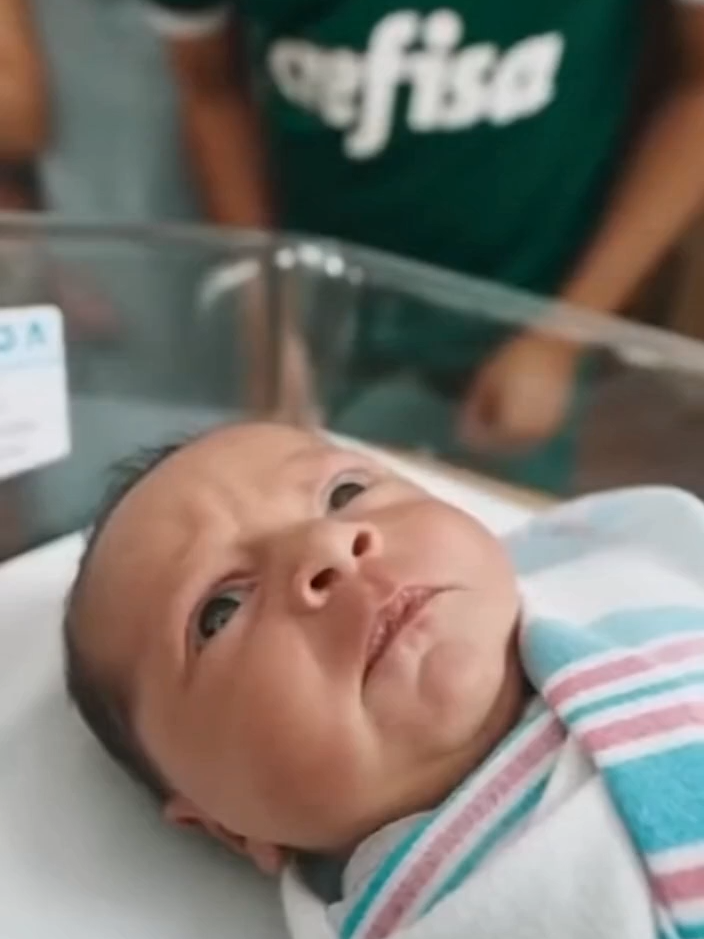 Palmeiras?? Se ta doido... #humor #zueira #sora #fyp #palmeiras #bebes