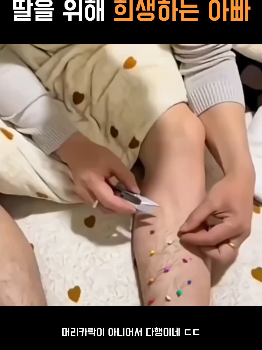 📩문제 있을 시 메세지주시면 삭제하겠습니다 . #KCM #발라드 #kpop #k-발라드 #가족 #위로 #감동 #명언 #유머 #웃짤 #웃긴영상 #재밌는영상 #쇼츠 #반려동물 #댕댕이 #강아지 #동물 #고양이 #집사 #반려동물 #short #릴스 #funny #animal #reels