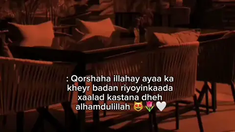 mar walba dheh alx 😻🌷#fypシ゚ #amran🖤🌸 #Azuura🥥🌷 #foryoupage #fyy 