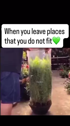 Deep Truths On Psychology & Life lake #psychology #psychologyfacts #fyp #foryoupage #foryoupageofficial 