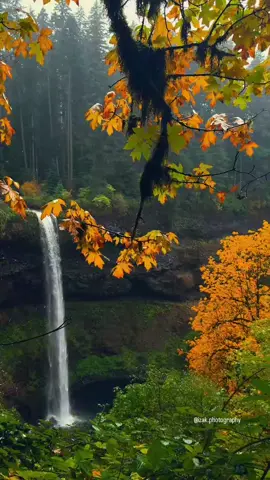 #لا_اله_الا_الله 