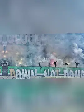 #mobejaia🖤💚♓ #bejaia06_la_kabyle💪♓❤️ #mobejaia #الموب #fy 