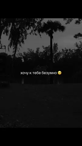 #цитаты #музыка #любовь❤ #рекомендации 