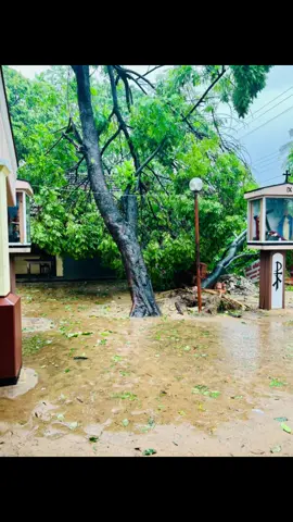 #kurusapalliya  කුරුස පල්ලිය මාරවිල