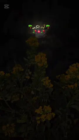 #CapCut #🌷🌷🌷🌷🌷 #foryou #❣️⚘️ 