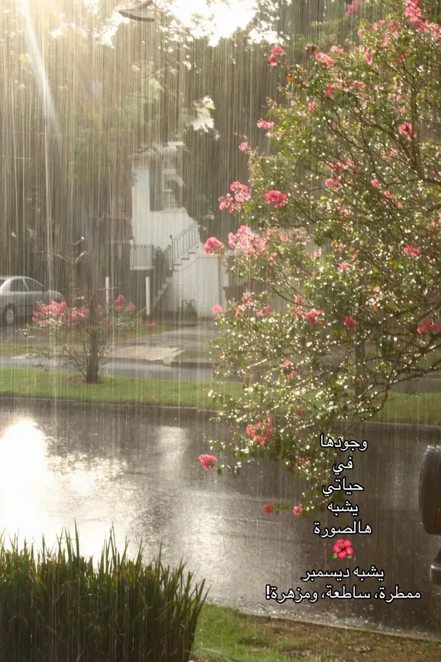 #fyp #ديسمبر #حب 