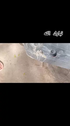 #سيارات#بي_ام_دبليو#مشاهدات