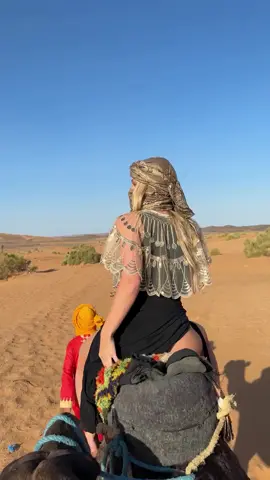 #creatorsearchinsights #tiktok #livefest25 #fest #fyp 