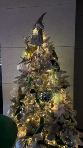 Acesta-i brăduțul nostru. Brăduțul ZU. Acum, arată-ne și tu!  Pozele cu 🎄 în comentarii! 