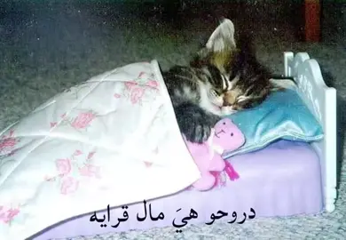 😴😴،#fypシ゚ #fypシ゚viral🖤tiktok_love_pov_تفاعل_fyp #اعفاء_عام##dancewithpubgm#viral 