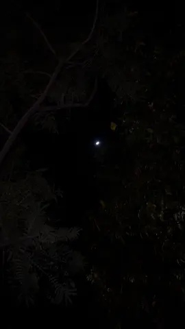 #ابها #fyp #بن_فطيس 