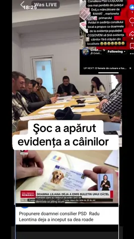 #imor #radeam @Claudiu Manda @Lia Olguta Vasilescu 