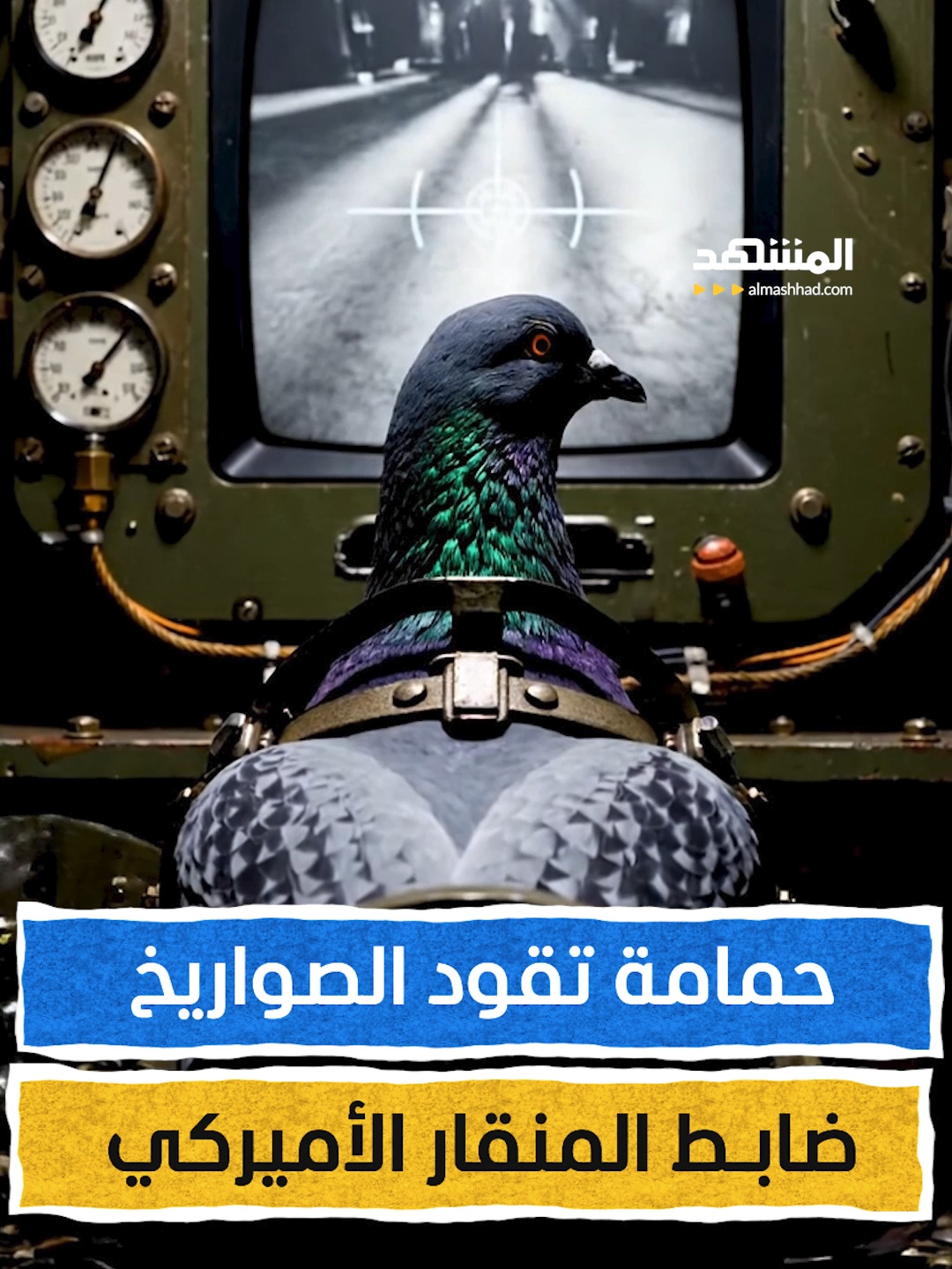 حمامة تقود الصواريخ.. ضابط المنقار الأميركي  إعداد وتعليق: عبدو حليمة  #هوامش